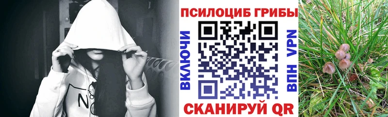 Псилоцибиновые грибы MAGIC MUSHROOMS  купить   Светлогорск 